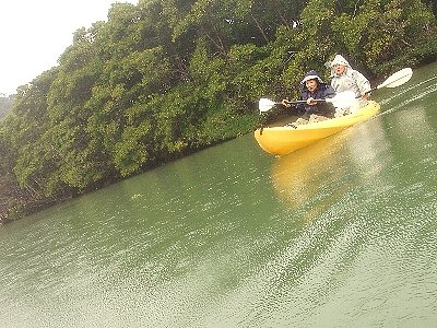 01月09日　野島　トップ.jpg